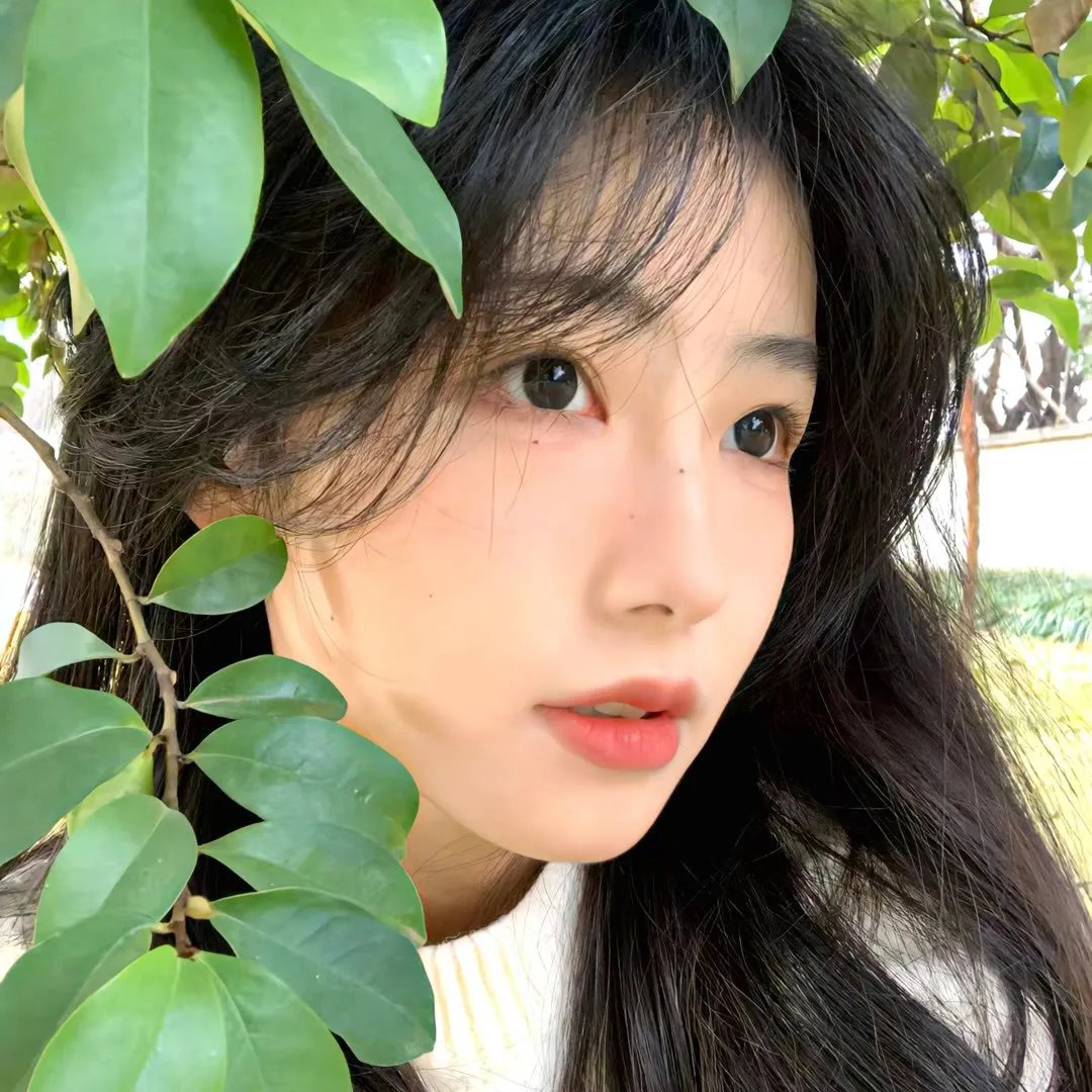 美眉校探 第二季